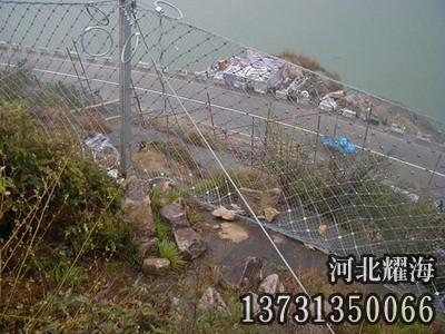 被動防護網
